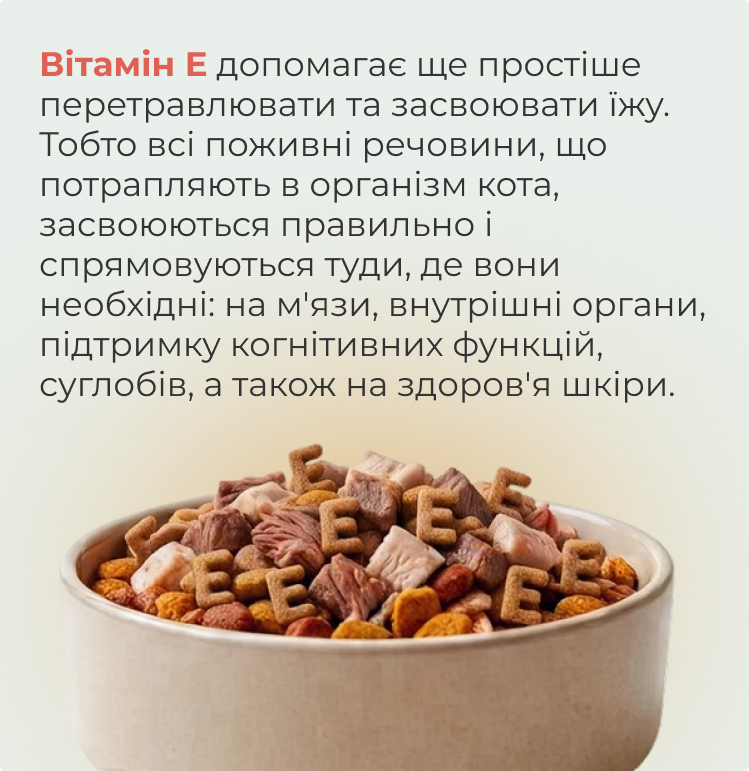 Вітамін E у кормі для котів