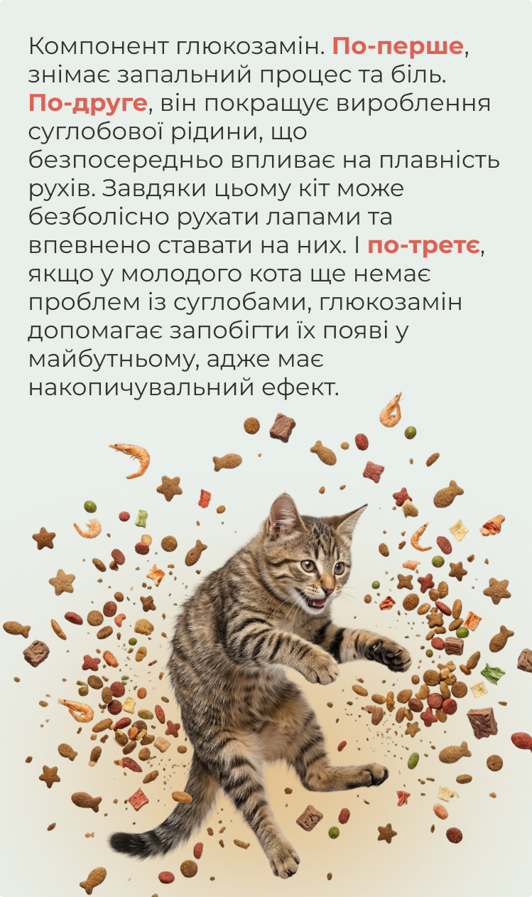 Глюкозамін для підтримки суглобів кота
