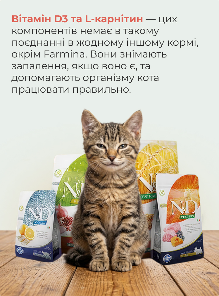 Вітамін D3 та L-карнітин у кормі для котів