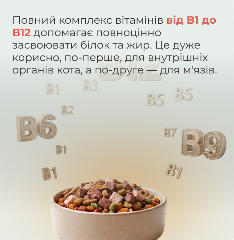 Комплекс вітамінів B1–B12 у кормі для котів