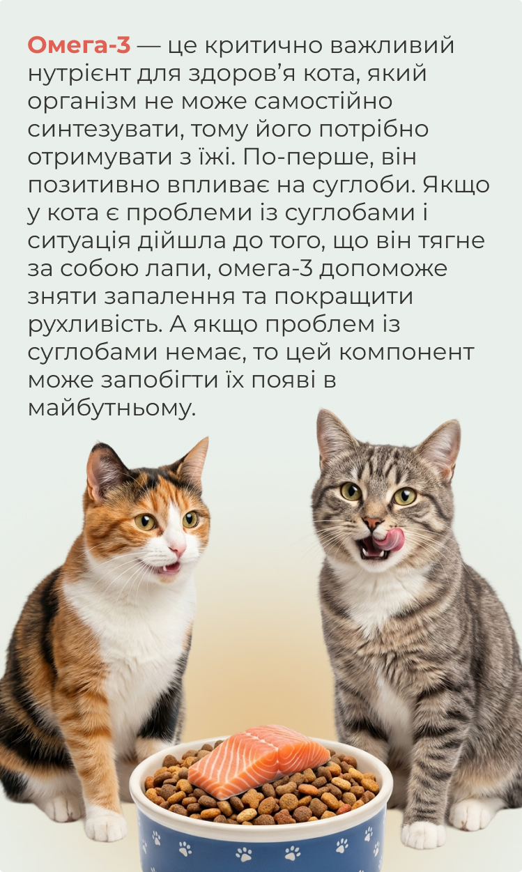 Омега-3 для підтримки суглобів кота