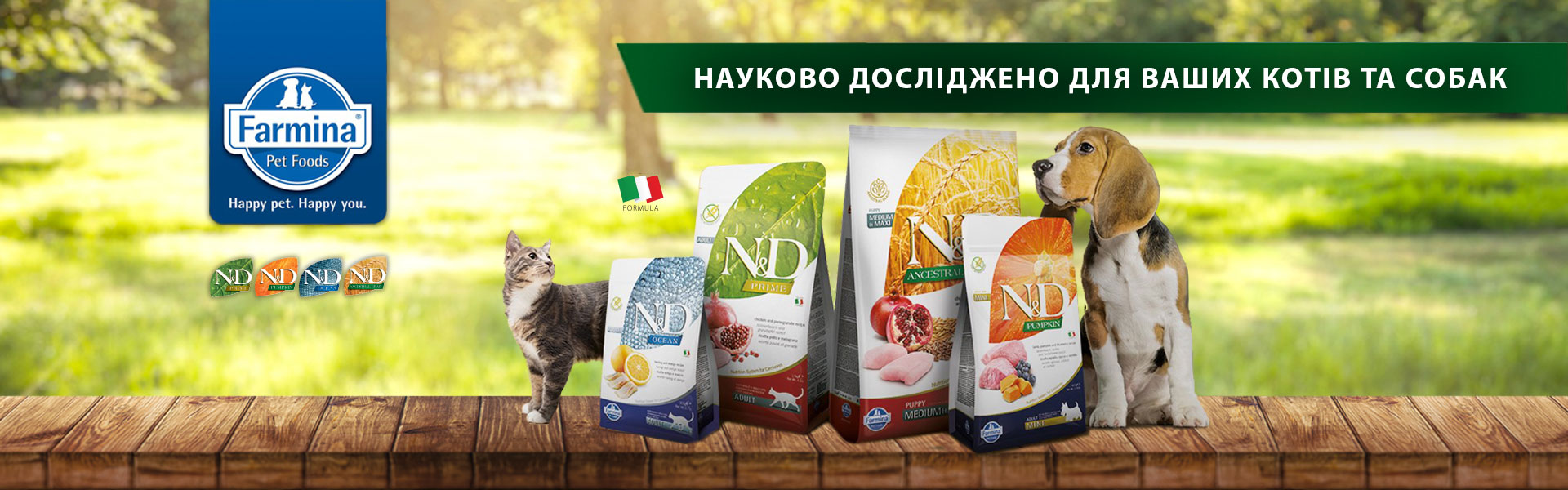 banner 2